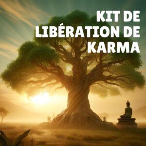 kit de liberation de karma